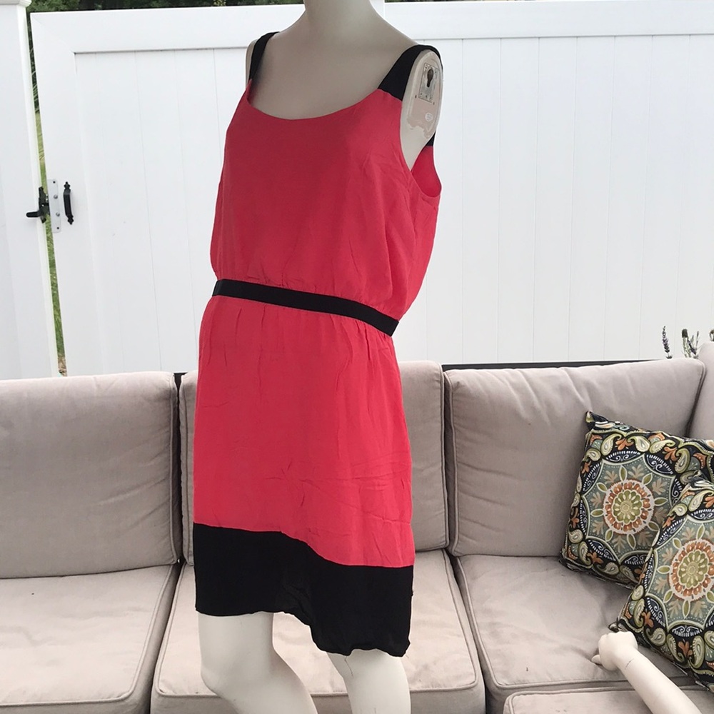 NWT Loft dress